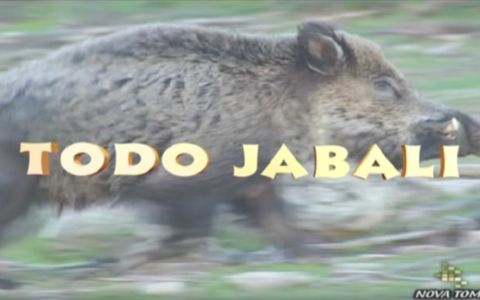 TODO JABALÍ (parte 1)