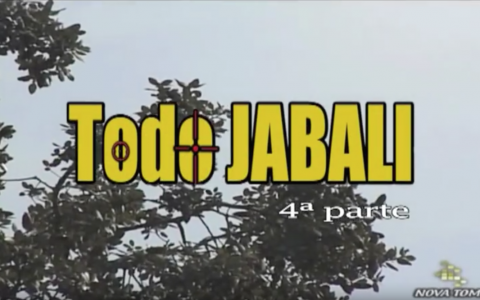 TODO JABALI (parte 4)