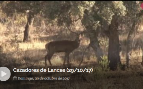 MONTERÍA EN LOS RIBEROS DEL TAJO, RECECHANDO LOS MEJORES VENADOS (29/10/2017)