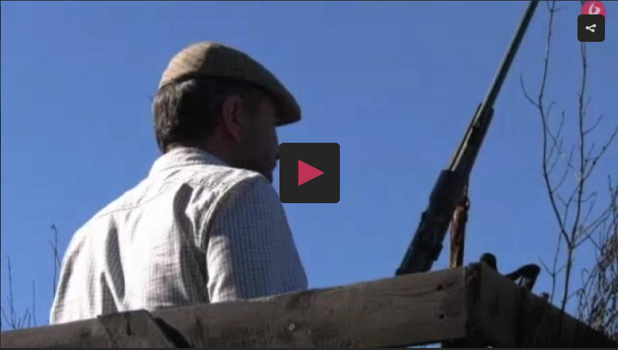 MONTERÍA TRAS JABALÍES, VENADOS Y MUFLONES. DOS MAESTROS CUQUILLEROS EN PUESTO.