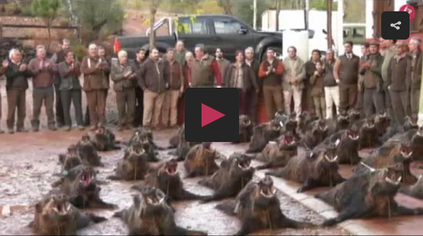 MONTEANDO EN EL CORTIJO ANTONIO -  TIRADA DE ZORZALES EN LOS FRUTALES (PROGRAMA 187)