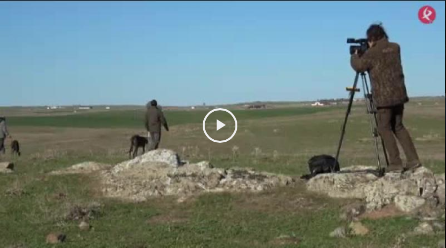Jóvenes rehaleros en acción - Liebres y galgos de poder a poder. (11/03/18)