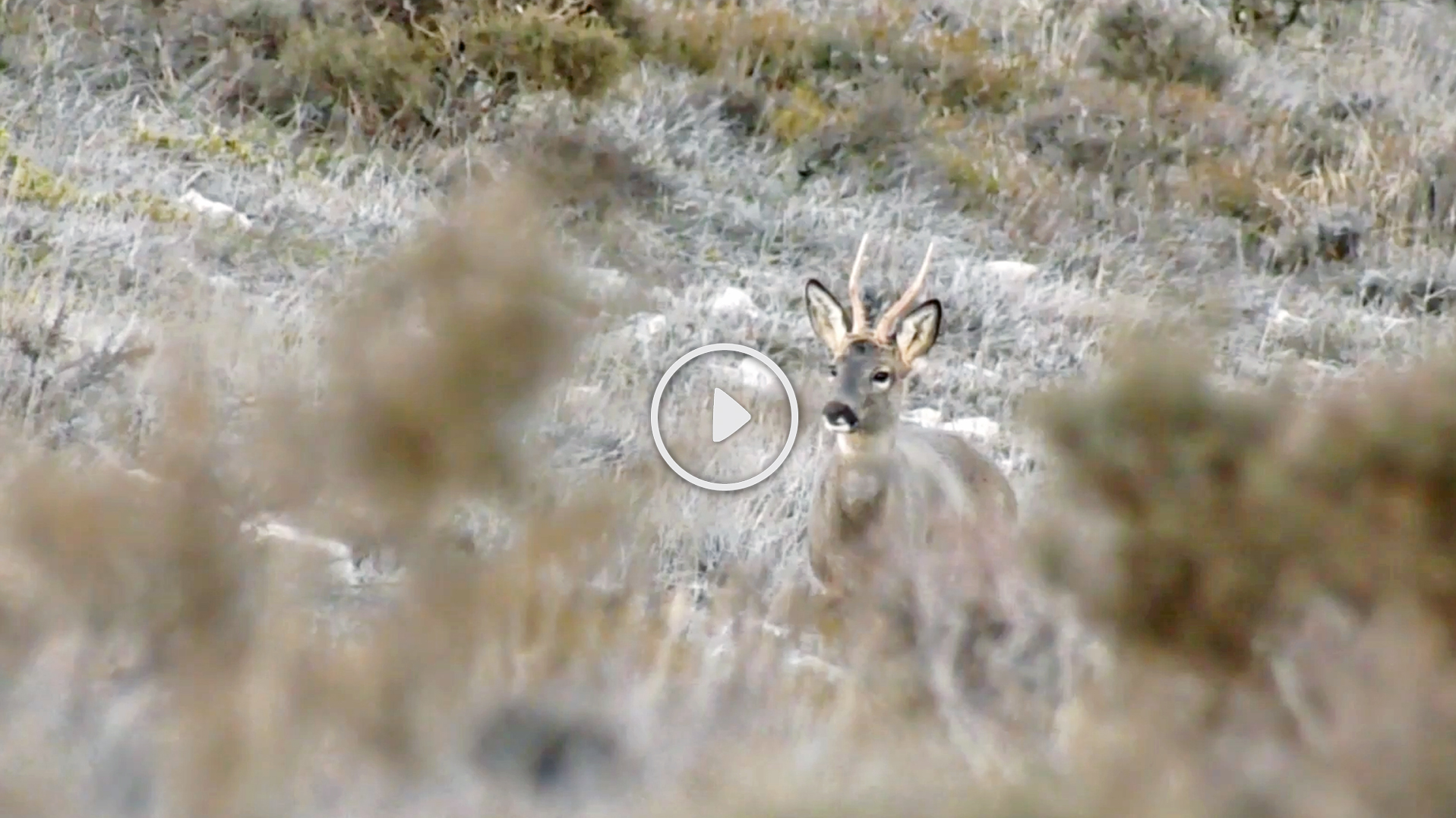 Empieza la temporada corcera. Entreno de San Huberto (06/05/18)