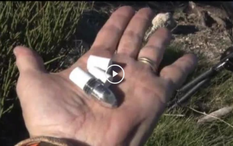 Caza con avancarga. Los espectaculares lances de la temporada. (01/07/18)