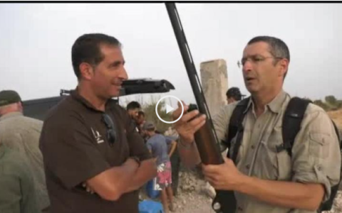 AGUARDOS CON ARCOS EN VERANO, MARRUECOS EL PARAÍSO DE LA TÓRTOLA (23/09/18)