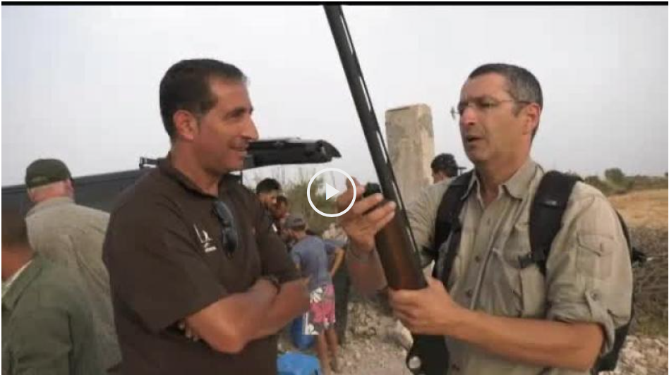 AGUARDOS CON ARCOS EN VERANO, MARRUECOS EL PARAÍSO DE LA TÓRTOLA (23/09/18)