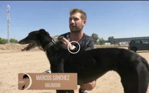 FECIEX 2018 - CAZA Y GESTIÓN PARA CONSEGUIR TROFEOS (30/09/18)