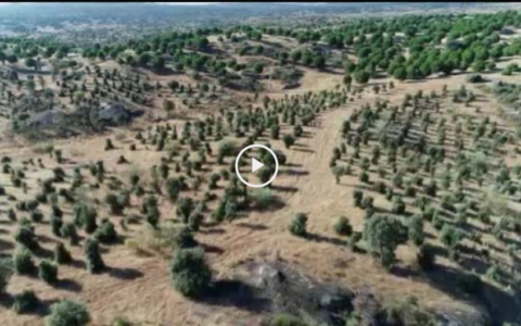 INICIO MONTERO EN LA HERGUIJUELA - ENTRENAMIENTO DE CAZA CON ARCO (07/10/18)