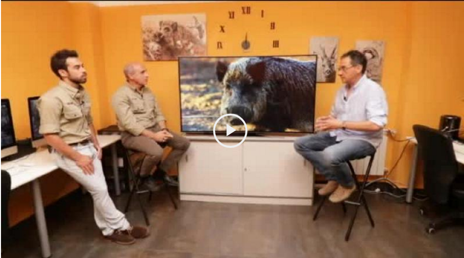 ANÁLISIS DEL JABALÍ EN MONTERÍA - CAZA Y SENTIMIENTOS (14/10/18)