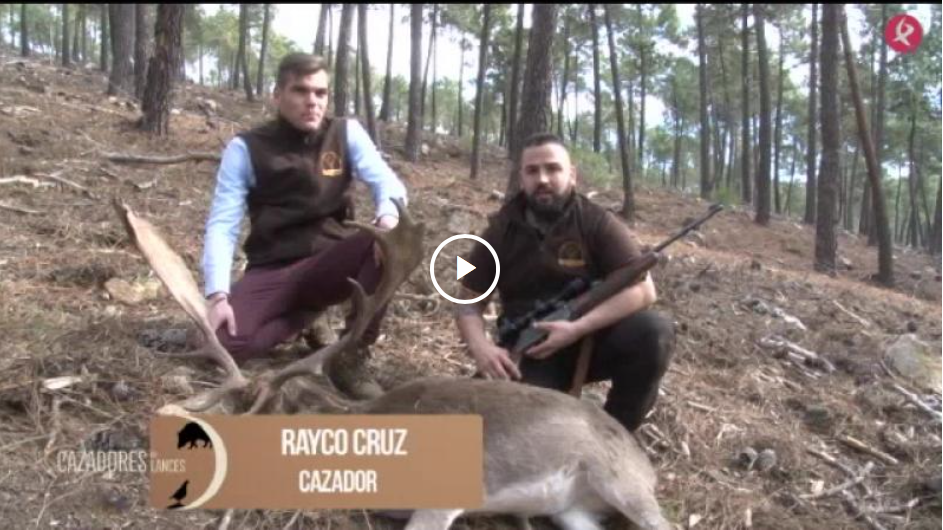 RECECHO DE GAMO ENTRE LOS PINOS - EL PRIMER OJEO DE PERDIZ (02/12/18)