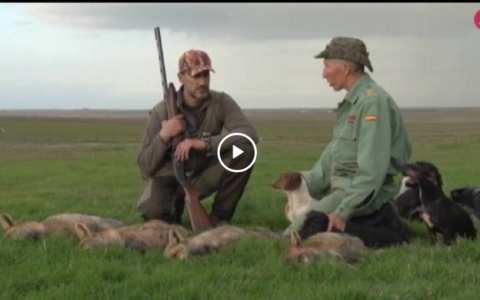 MONTEANDO LOS CORTADEROS DE LA COVACHA - SIN TREGUA A LAS RAPOSAS (13/01/19)