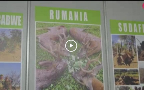 CINEGÉTICA 2019 - CECILIO EN SU PRIMER OJEO DE PERDIZ (07/04/19)