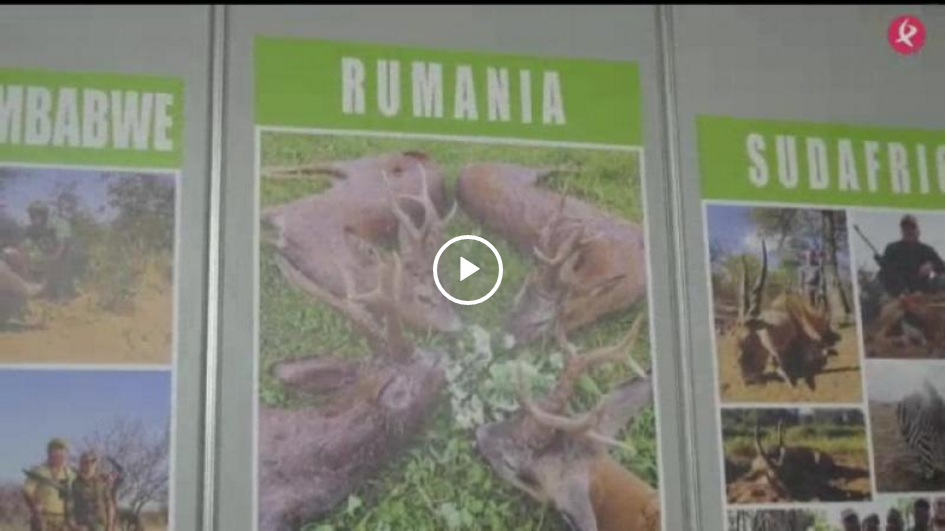 CINEGÉTICA 2019 - CECILIO EN SU PRIMER OJEO DE PERDIZ (07/04/19)