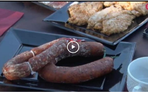 PUESTOS DE MONTERÍA. ENTRE JABALÍES Y RESES - PERROS TRAS LAS PERDICES EN SANTA MARTA (14/04/19)