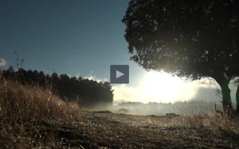 EXPERIENCIAS DE ARQUEROS EN MONTERÍA - CAZA MENOR CON CALIBRES PEQUEÑOS, PLACER Y RETO (22/02/21)
